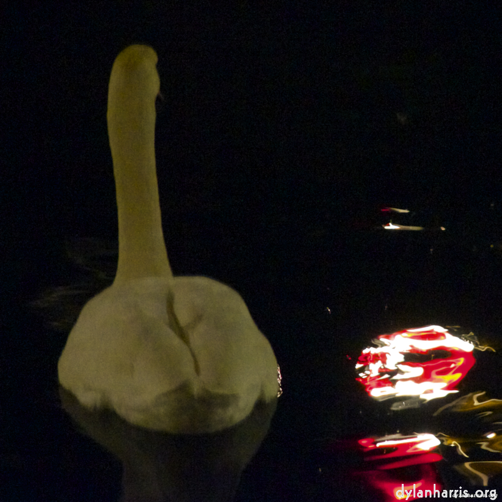 image: This is &lsquo;amsterdam (xx) 2&rsquo;.