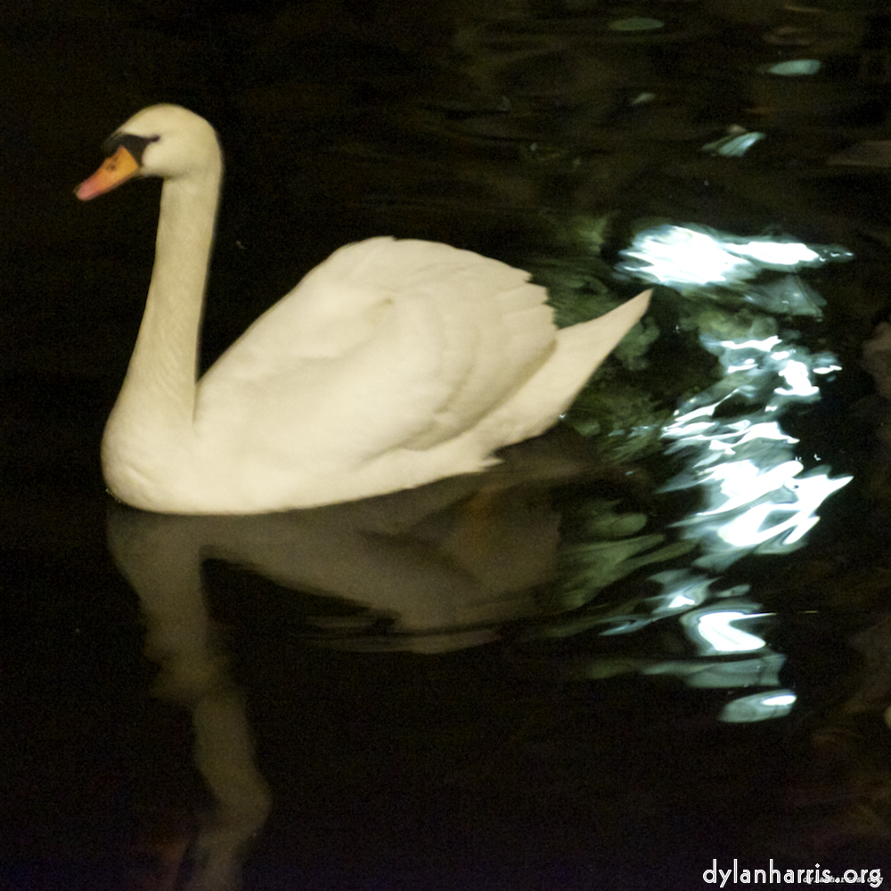image: This is &lsquo;amsterdam (xx) 3&rsquo;.