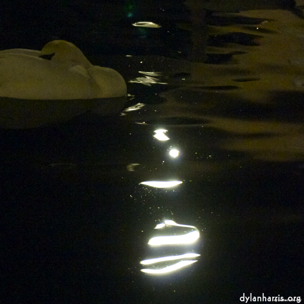 image: This is &lsquo;amsterdam (xx) 4&rsquo;.