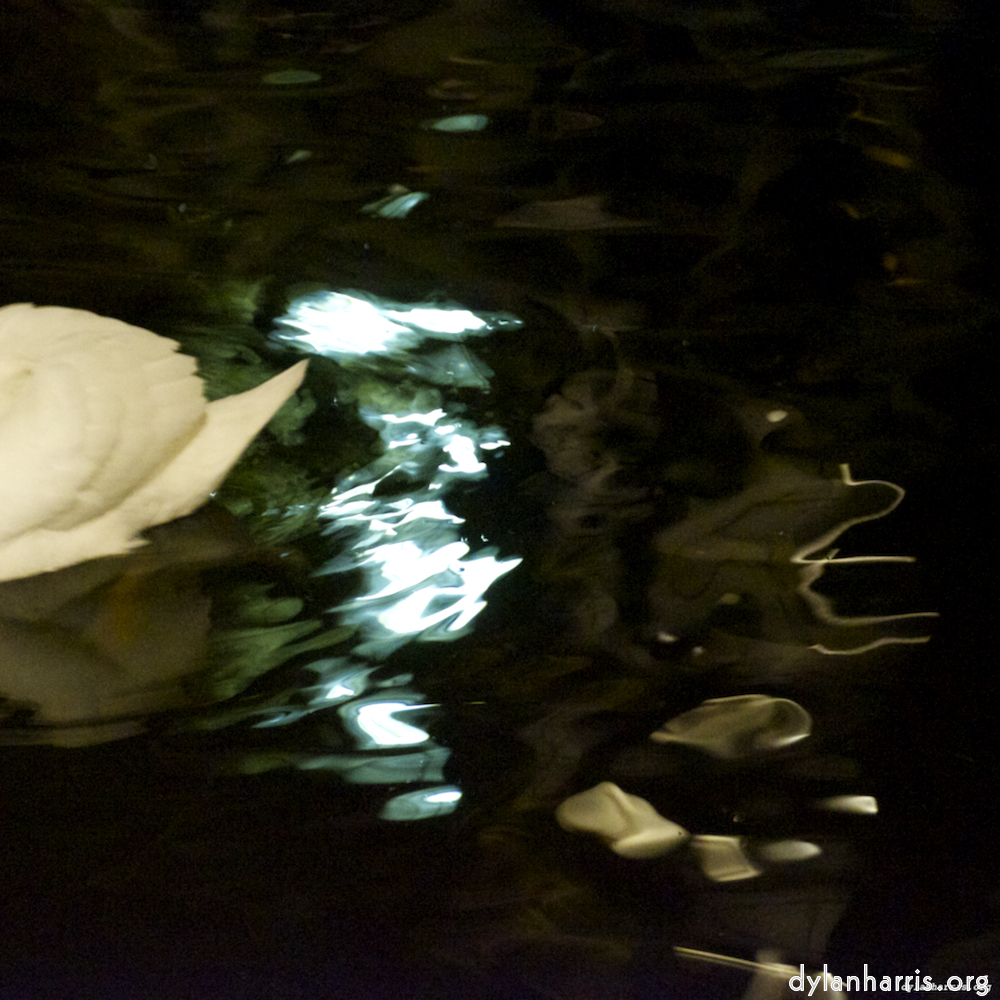 image: This is &lsquo;amsterdam (xx) 5&rsquo;.