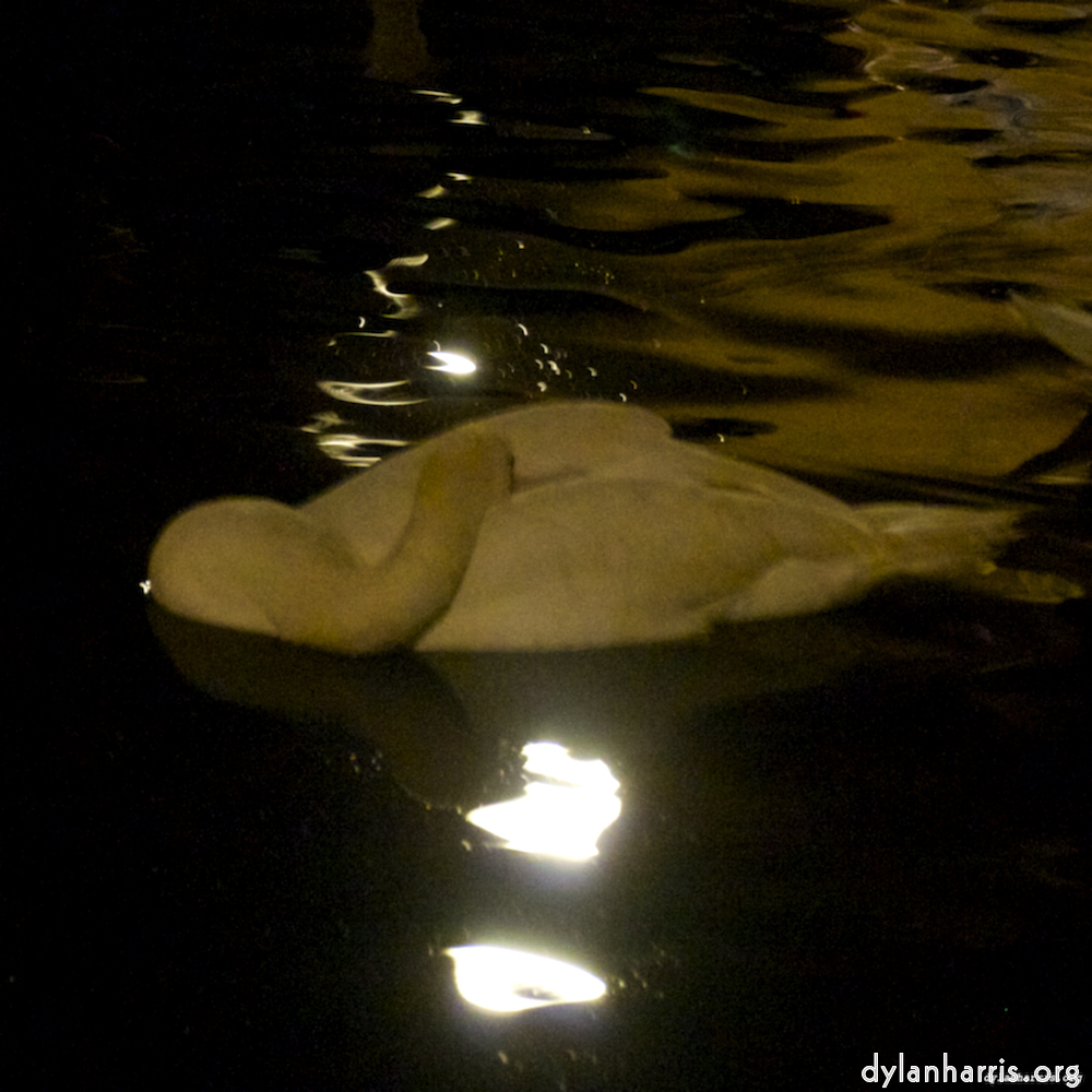 image: This is &lsquo;amsterdam (xx) 6&rsquo;.