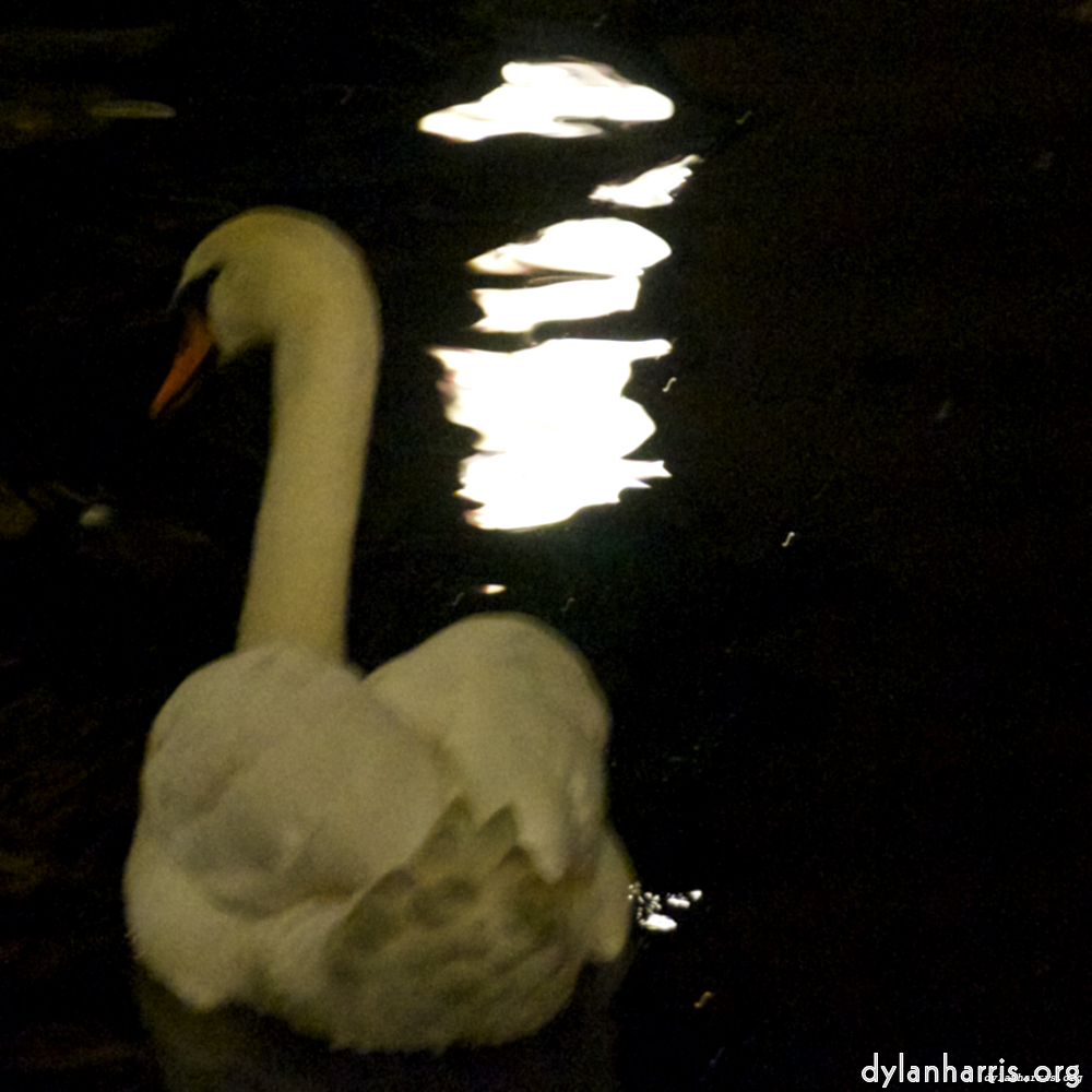 image: This is &lsquo;amsterdam (xx) 7&rsquo;.