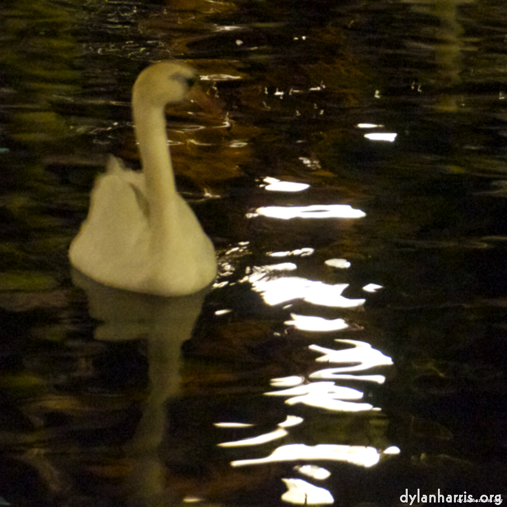 image: This is &lsquo;amsterdam (xx) 8&rsquo;.
