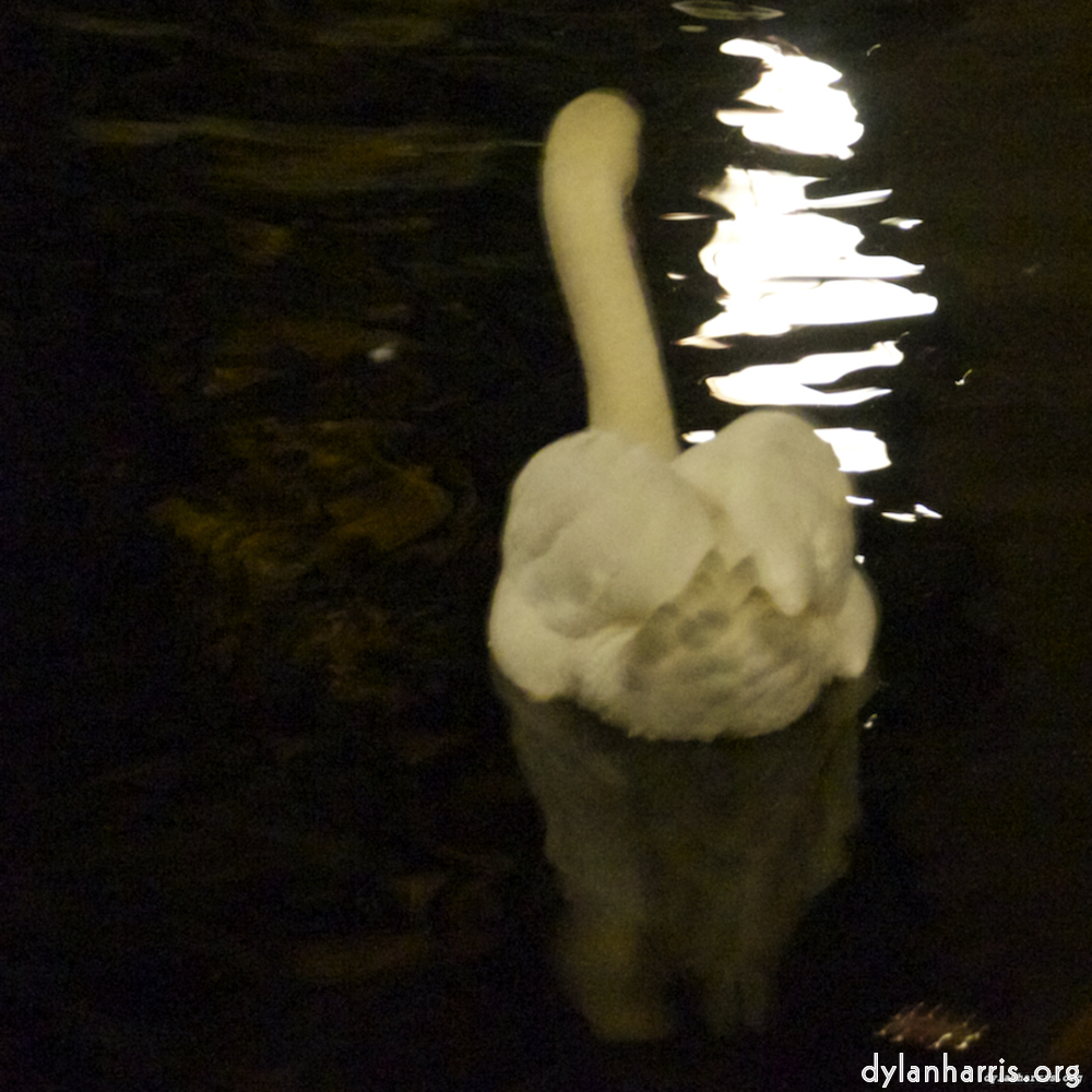 image: This is &lsquo;amsterdam (xx) 9&rsquo;.