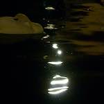 image: Image from the photoset &lsquo;amsterdam (xx)&rsquo;.