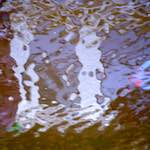 image: Image from the photoset &lsquo;amsterdam (xxiii)&rsquo;.