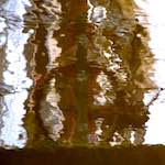 image: Image from the photoset &lsquo;amsterdam (xxiv)&rsquo;.