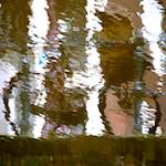 image: Image from the photoset &lsquo;amsterdam (xxiv)&rsquo;.