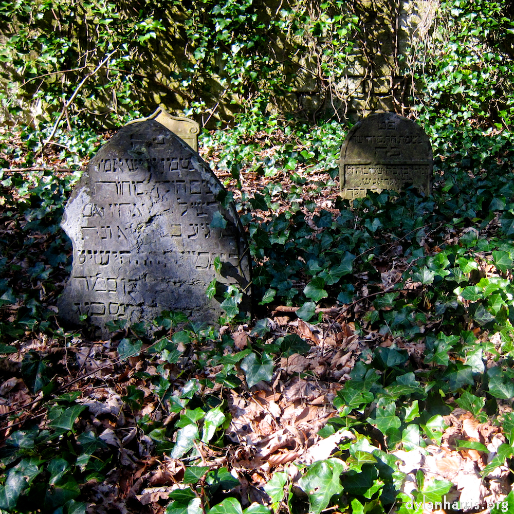 image: This is &lsquo;graveyard (iii) 3&rsquo;.
