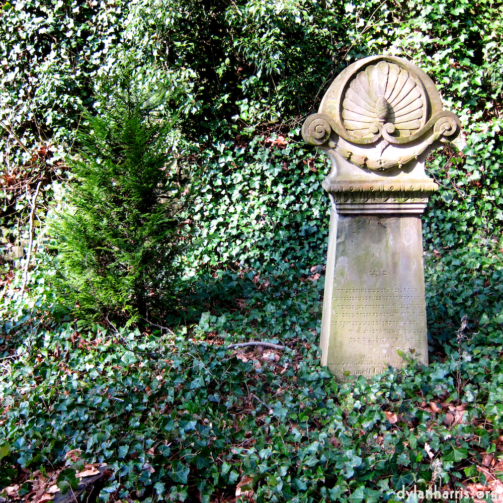 image: This is &lsquo;graveyard (iii) 7&rsquo;.