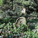 image: Image from the photoset &lsquo;graveyard (iii)&rsquo;.