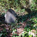 image: Image from the photoset &lsquo;graveyard (iii)&rsquo;.