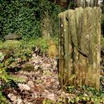 image: Image from the photoset &lsquo;graveyard (iii)&rsquo;.