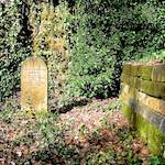 image: Image from the photoset &lsquo;graveyard (iii)&rsquo;.