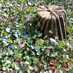 image: Image from the photoset &lsquo;graveyard (iii)&rsquo;.