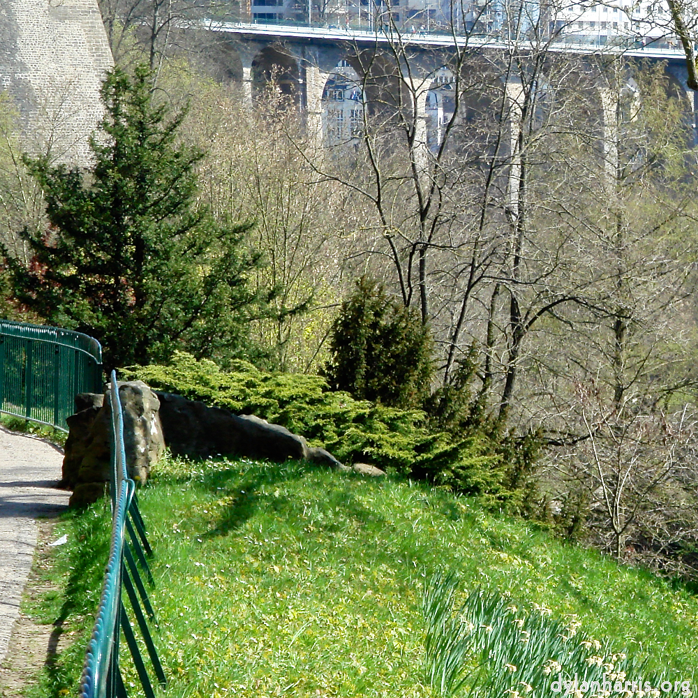 image: This is &lsquo;grund (xiii) 2&rsquo;.
