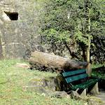 image: Image from the photoset &lsquo;grund (xiii)&rsquo;.