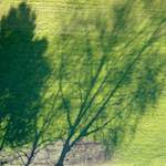 image: Image from the photoset &lsquo;grund (xiii)&rsquo;.