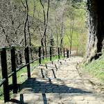 image: Image from the photoset &lsquo;grund (xiii)&rsquo;.
