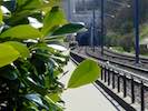 image: Image from the photoset &lsquo;train (viii)&rsquo;.