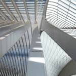 image: Image from the photoset &lsquo;li&egrave;ge&rsquo;.