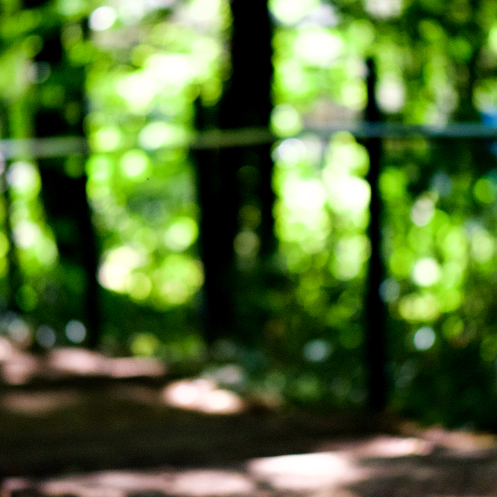 image: This is &lsquo;parc (xxxi) 2&rsquo;.