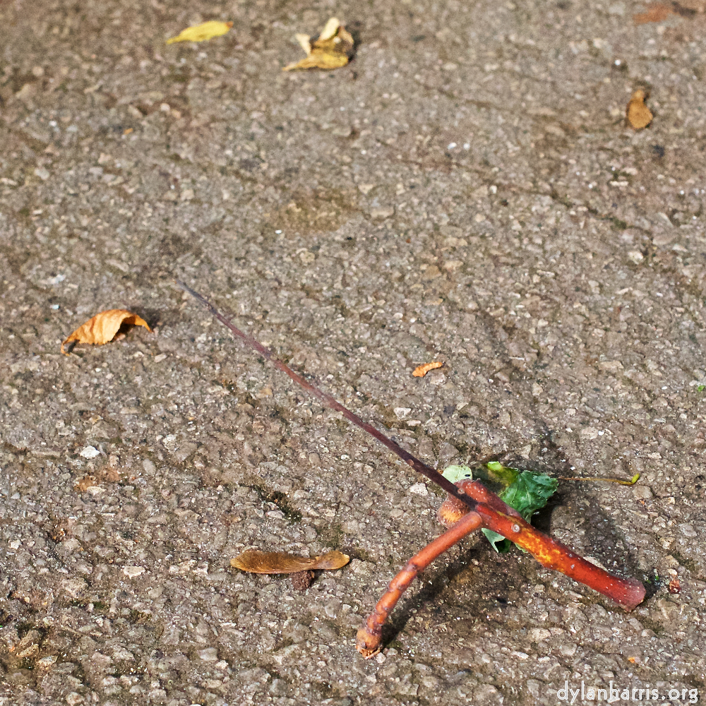 image: This is &lsquo;autumn (i) 6&rsquo;.