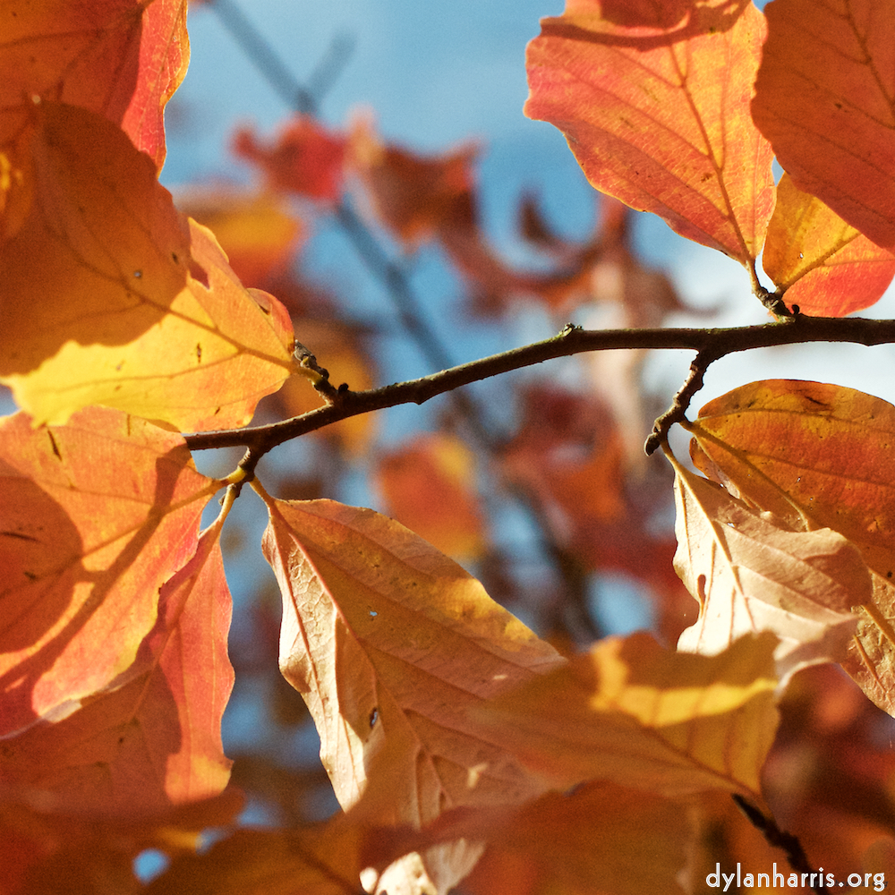 image: This is &lsquo;autumn (iii) 2&rsquo;.