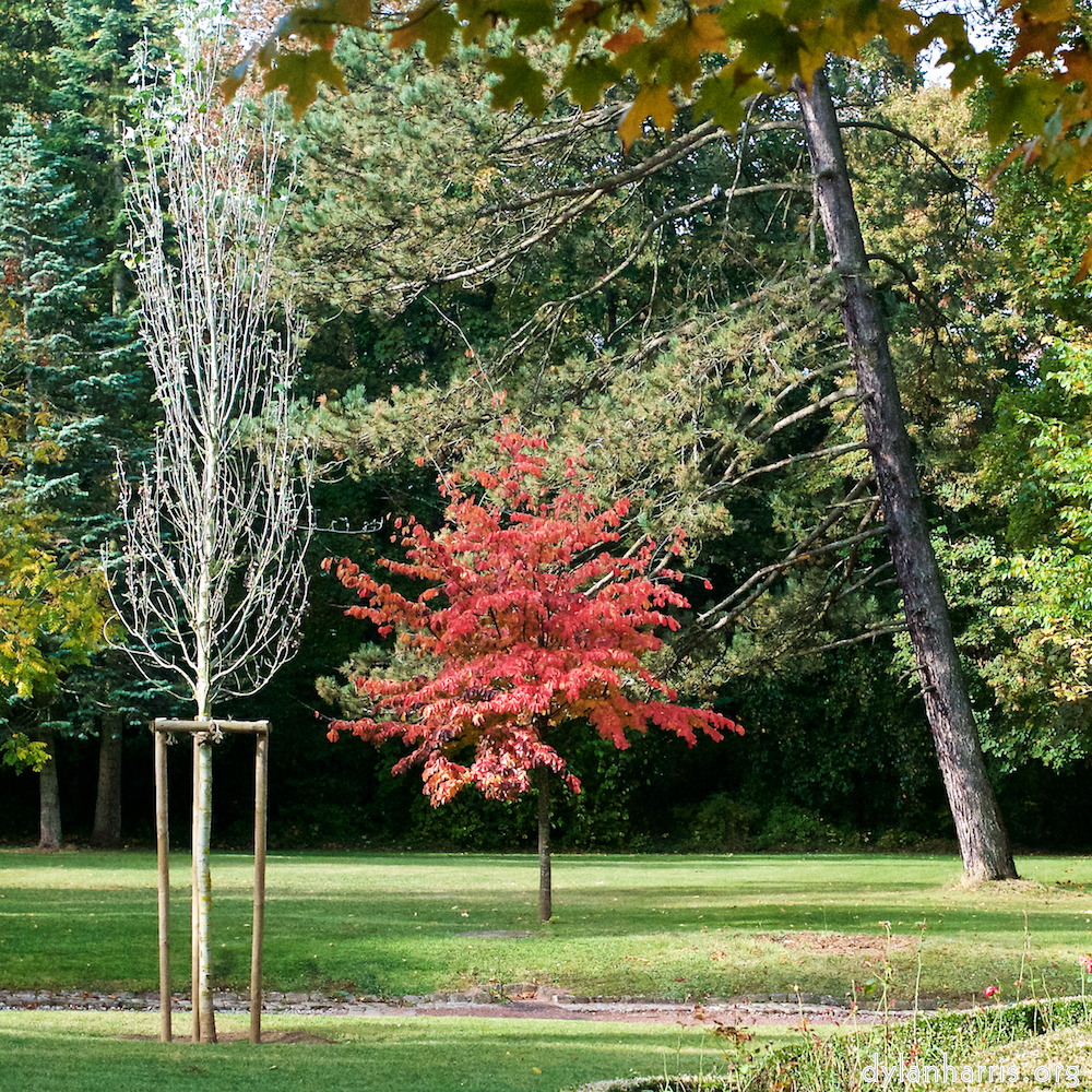 image: This is &lsquo;autumn (iii) 8&rsquo;.