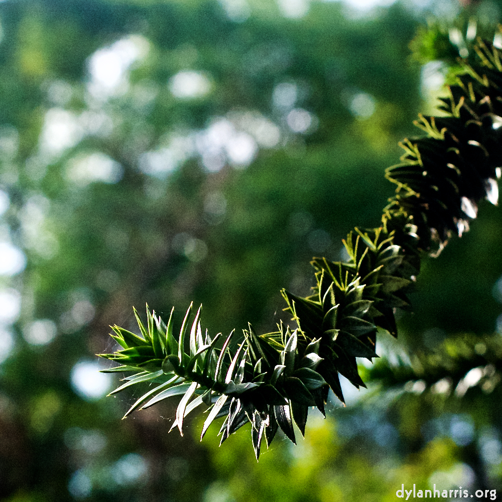 image: This is &lsquo;parc (xiii) 8&rsquo;.