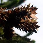 image: Image from the photoset &lsquo;parc (xiii)&rsquo;.