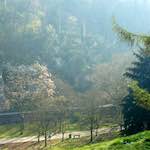 image: Image from the photoset &lsquo;grund (xiv)&rsquo;.