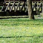 image: Image from the photoset &lsquo;grund (xiv)&rsquo;.