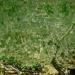 image: Image from the photoset &lsquo;grund (xiv)&rsquo;.