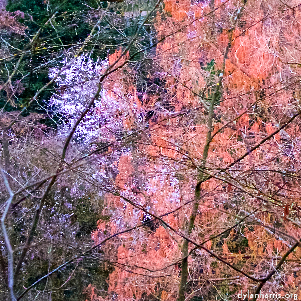 image: This is &lsquo;spring 1&rsquo;.