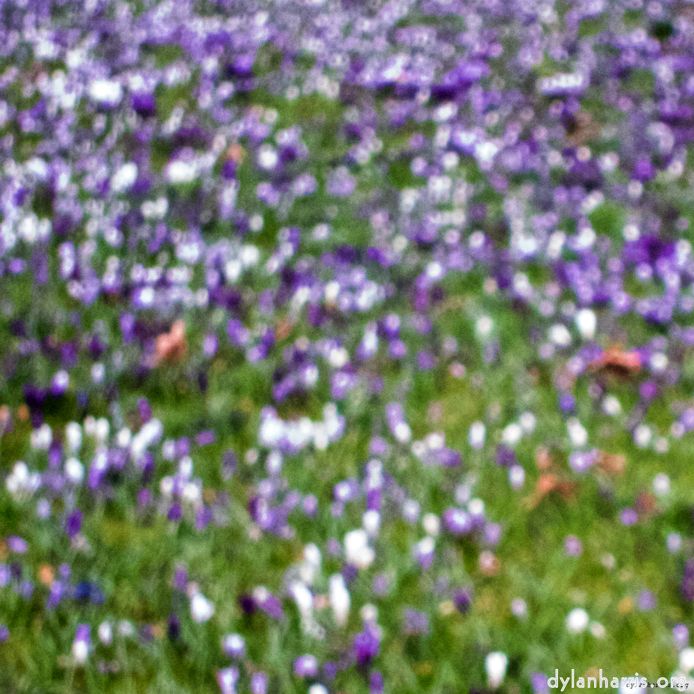 image: This is &lsquo;spring 3&rsquo;.