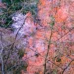 image: Image from the photoset &lsquo;spring&rsquo;.