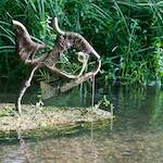 image: Image from the photoset &lsquo;bagnor&rsquo;.