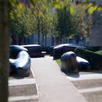 image: Image from the photoset &lsquo;parc (xli)&rsquo;.