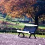 image: Image from the photoset &lsquo;parc (xli)&rsquo;.