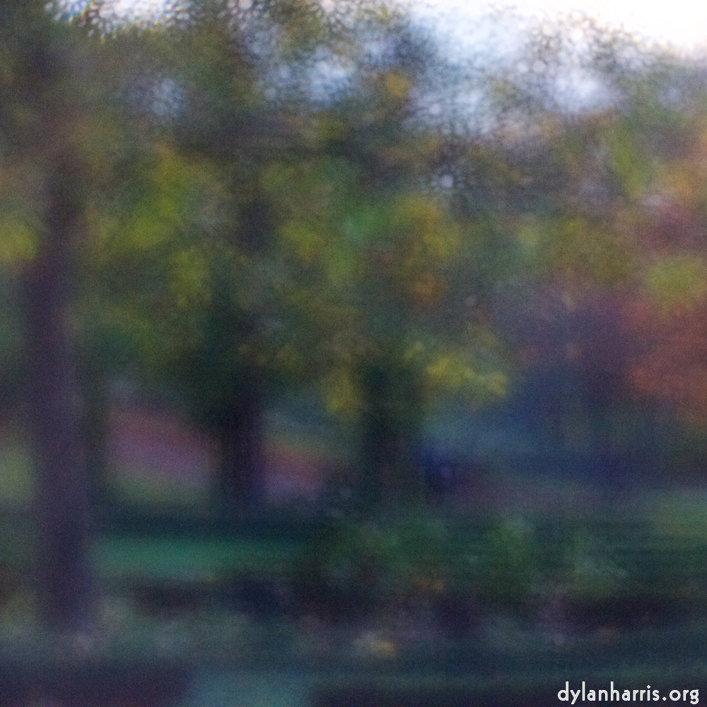 image: This is &lsquo;parc (xlii) 5&rsquo;.