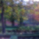 image: Image from the photoset &lsquo;parc (xlii)&rsquo;.