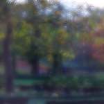 image: Image from the photoset &lsquo;parc (xlii)&rsquo;.