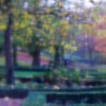 image: Image from the photoset &lsquo;parc (xlii)&rsquo;.