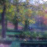 image: Image from the photoset &lsquo;parc (xliii)&rsquo;.
