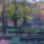 image: Image from the photoset &lsquo;parc (xliii)&rsquo;.