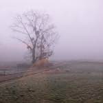 image: Image from the photoset &lsquo;way to work B (iv)&rsquo;.