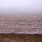 image: Image from the photoset &lsquo;way to work B (iv)&rsquo;.