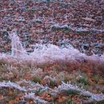 image: Image from the photoset &lsquo;way to work B (iv)&rsquo;.