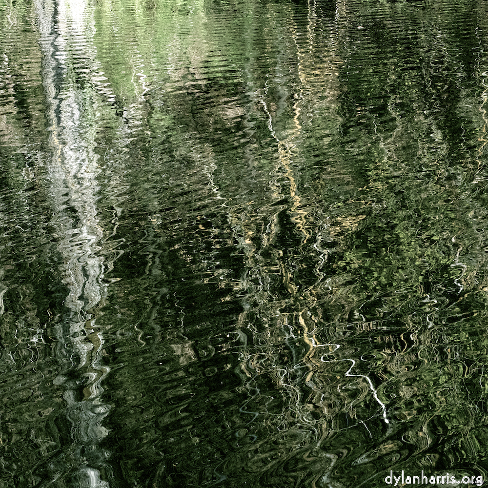 image: This is &lsquo;wood (xv) 3&rsquo;.